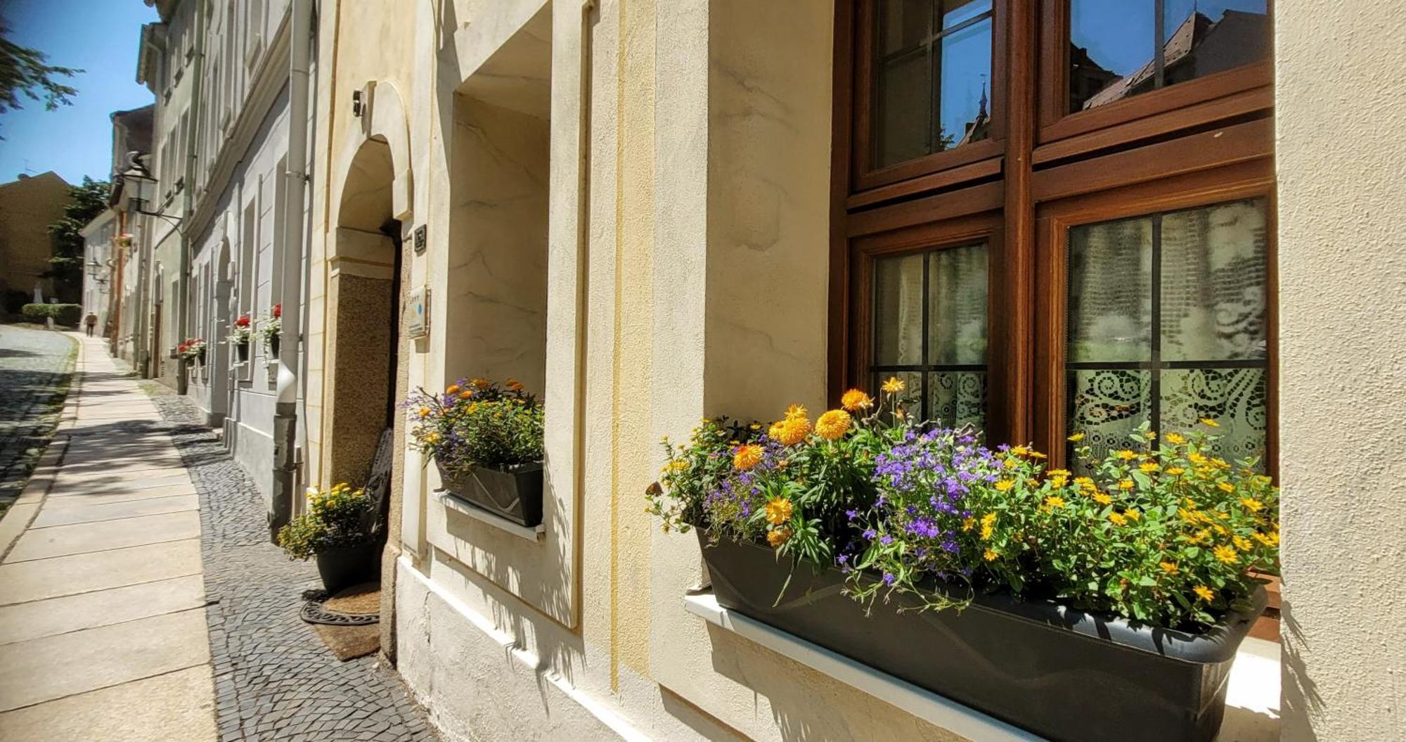 Altstadtdomizil Morgenroete Görlitz Exterior foto